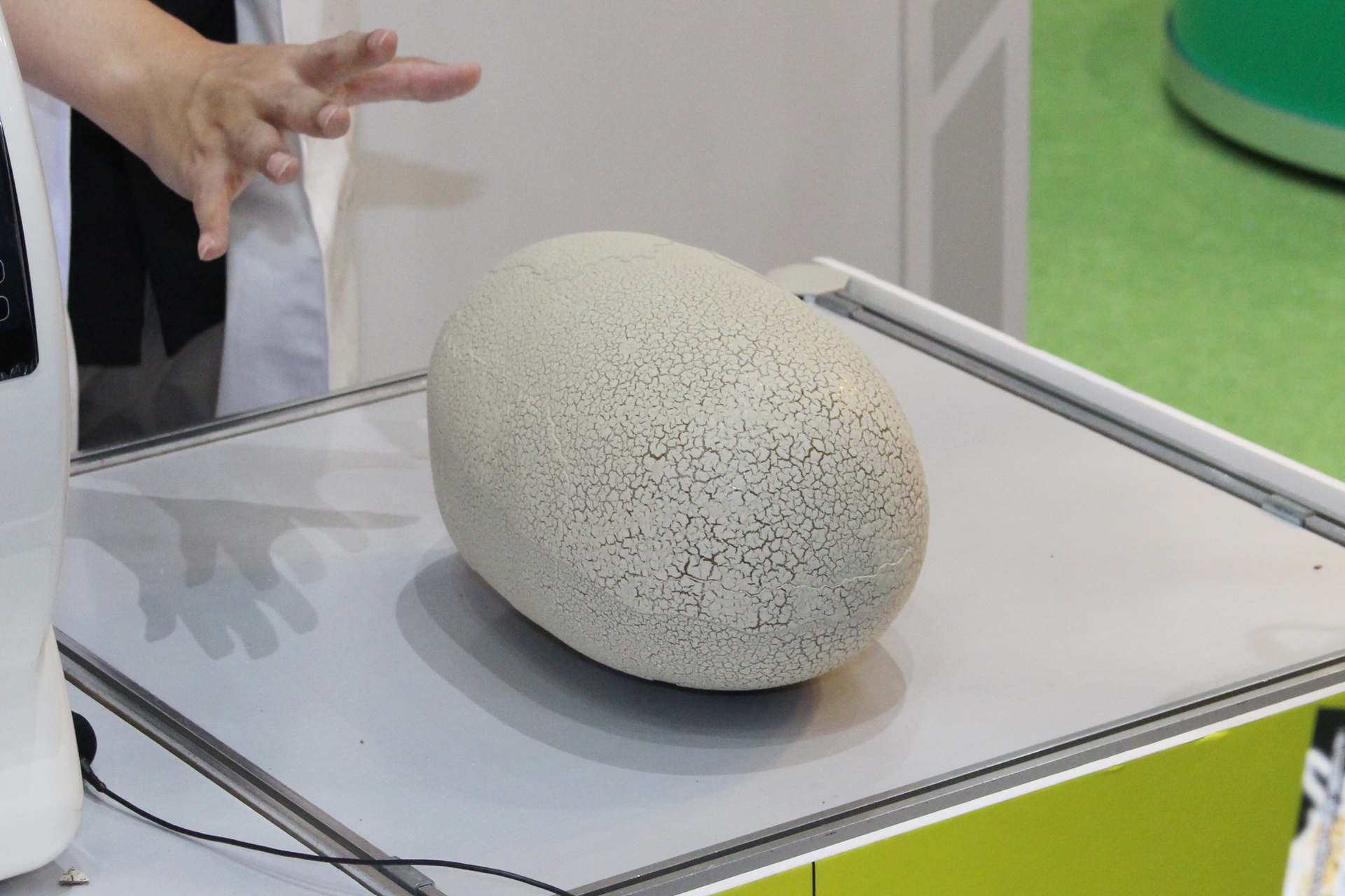 これがパッケージから出した状態の「T-レックスエッグ」。かなり大きいが、質感は映画で見た恐竜の卵のイメージとなっている