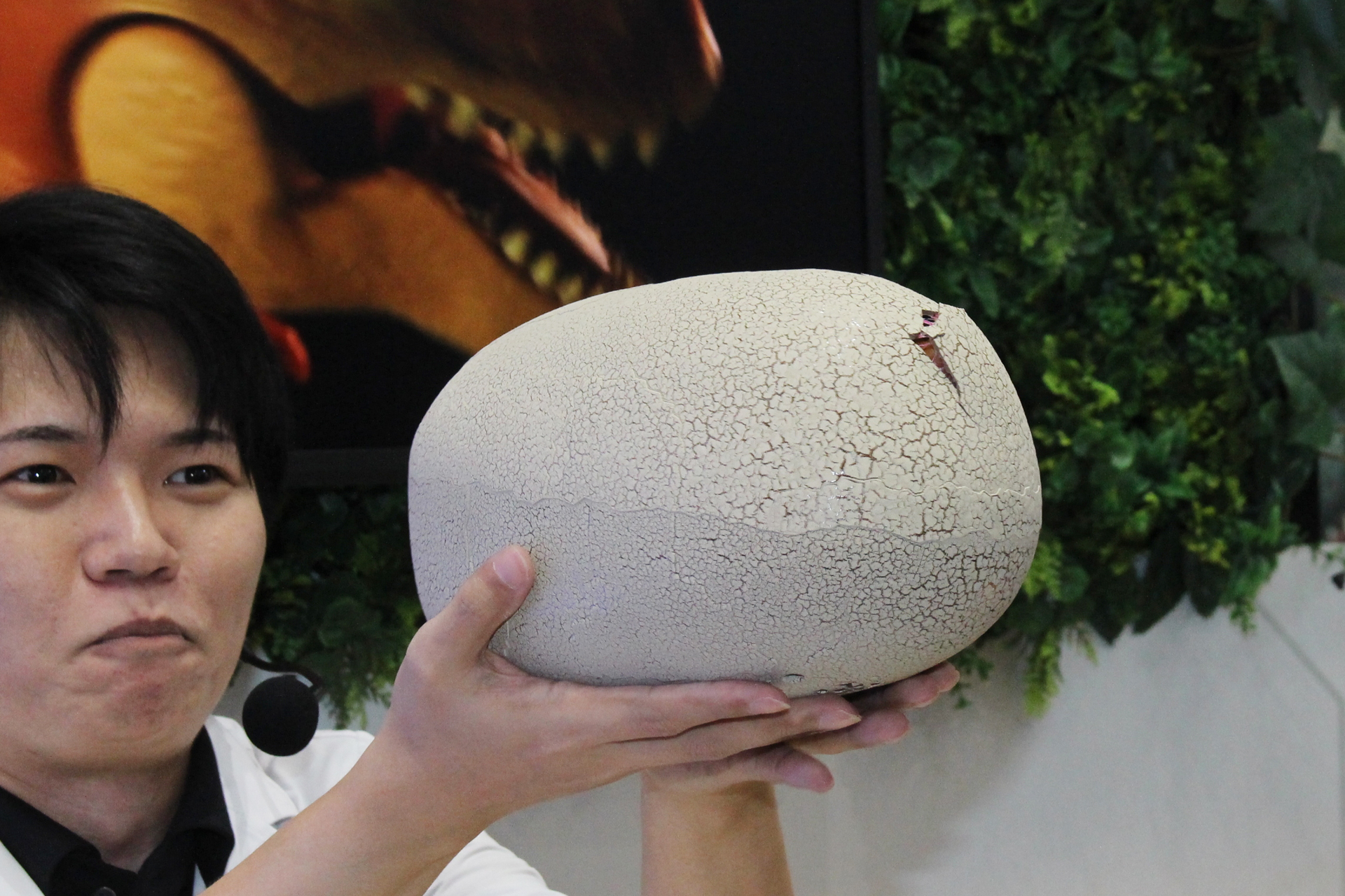 卵をノックすると動きながら少しずつ殻が割れていく