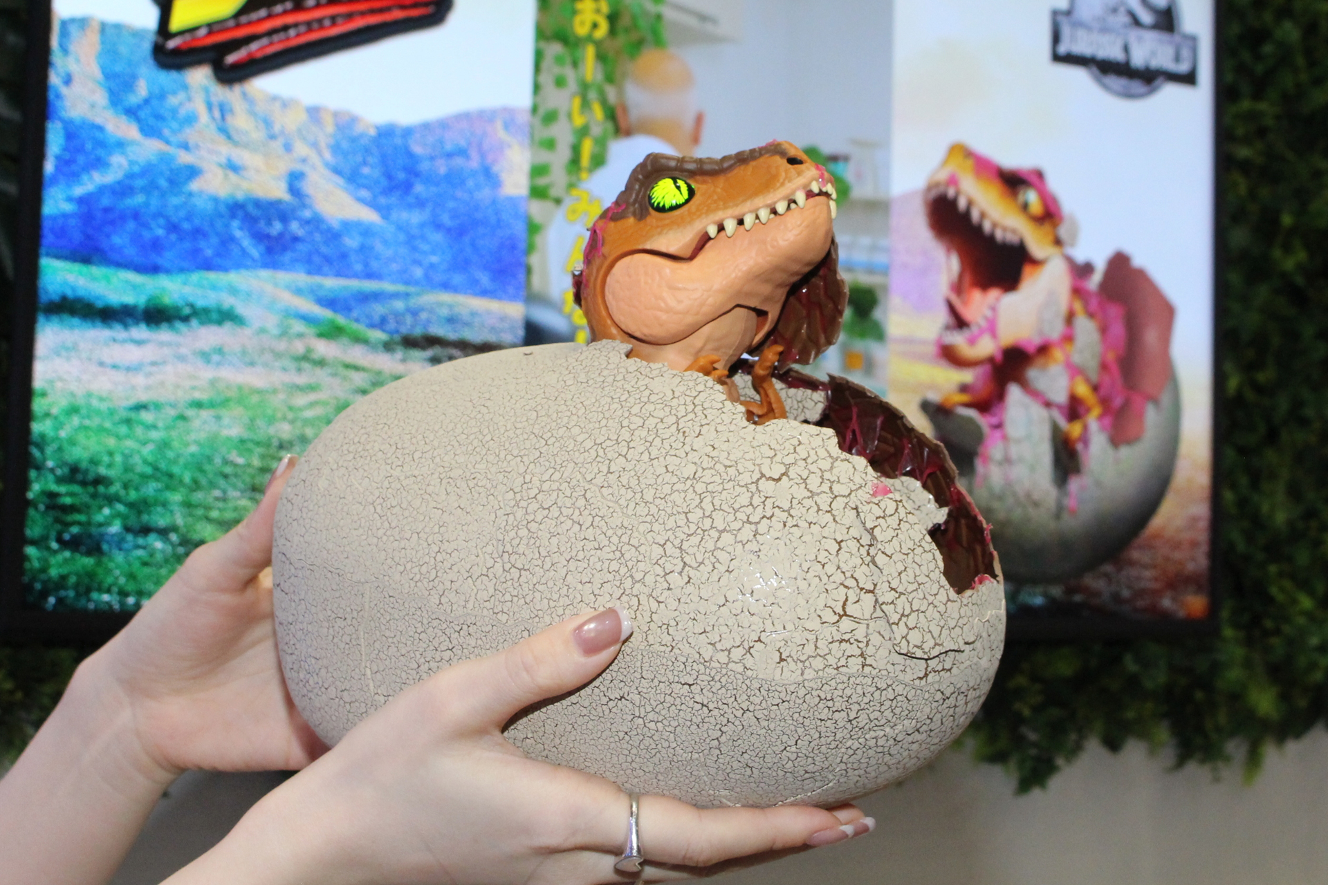 完全に頭を出した状態で孵化完了となる。このときもちゃんと動いている