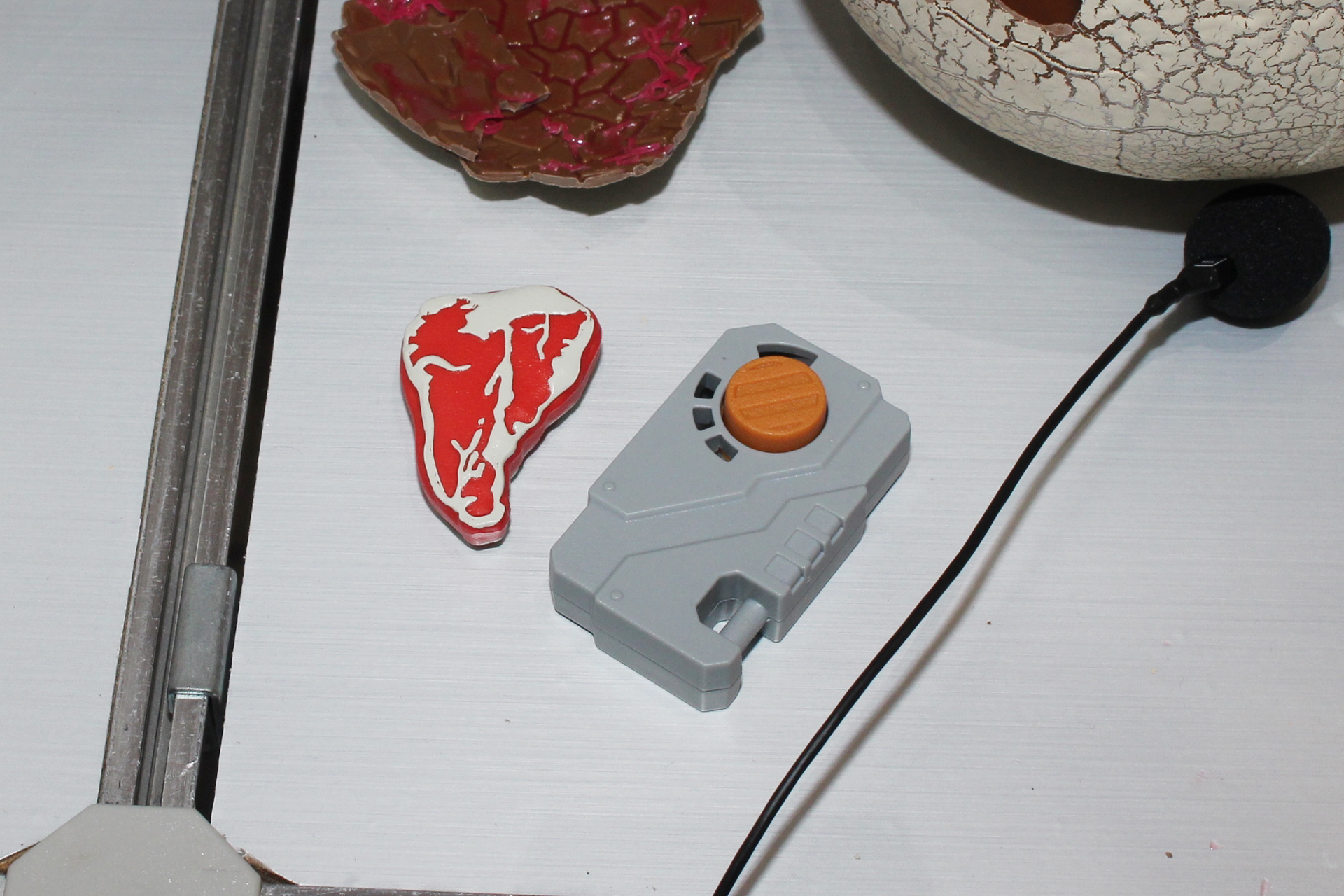 エサや、クリッカーの音などに反応したりする