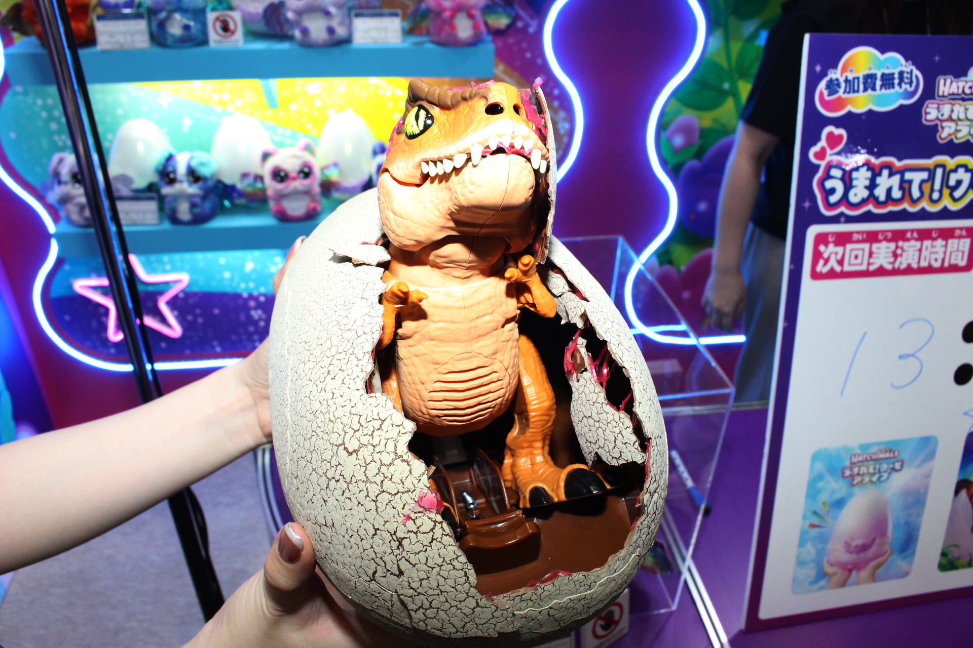 卵の殻は一部を取り外してディスプレイ台として使える