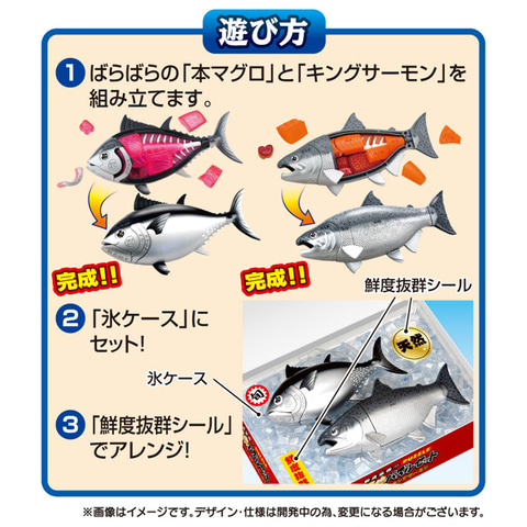 魚の敵　様　12本セット　ご検討中専用です。 プレスリリース）ヘイおまち！遊んで学べる！鮮度抜群の魚パズル