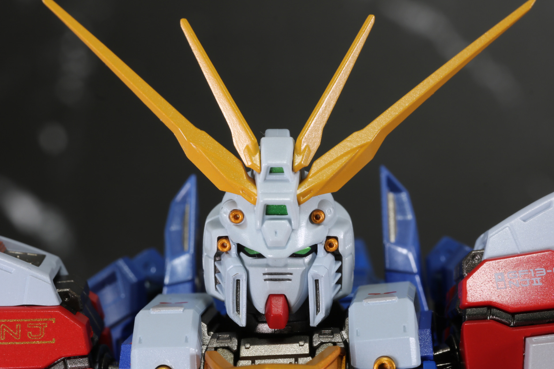 端正な顔立ちの頭部