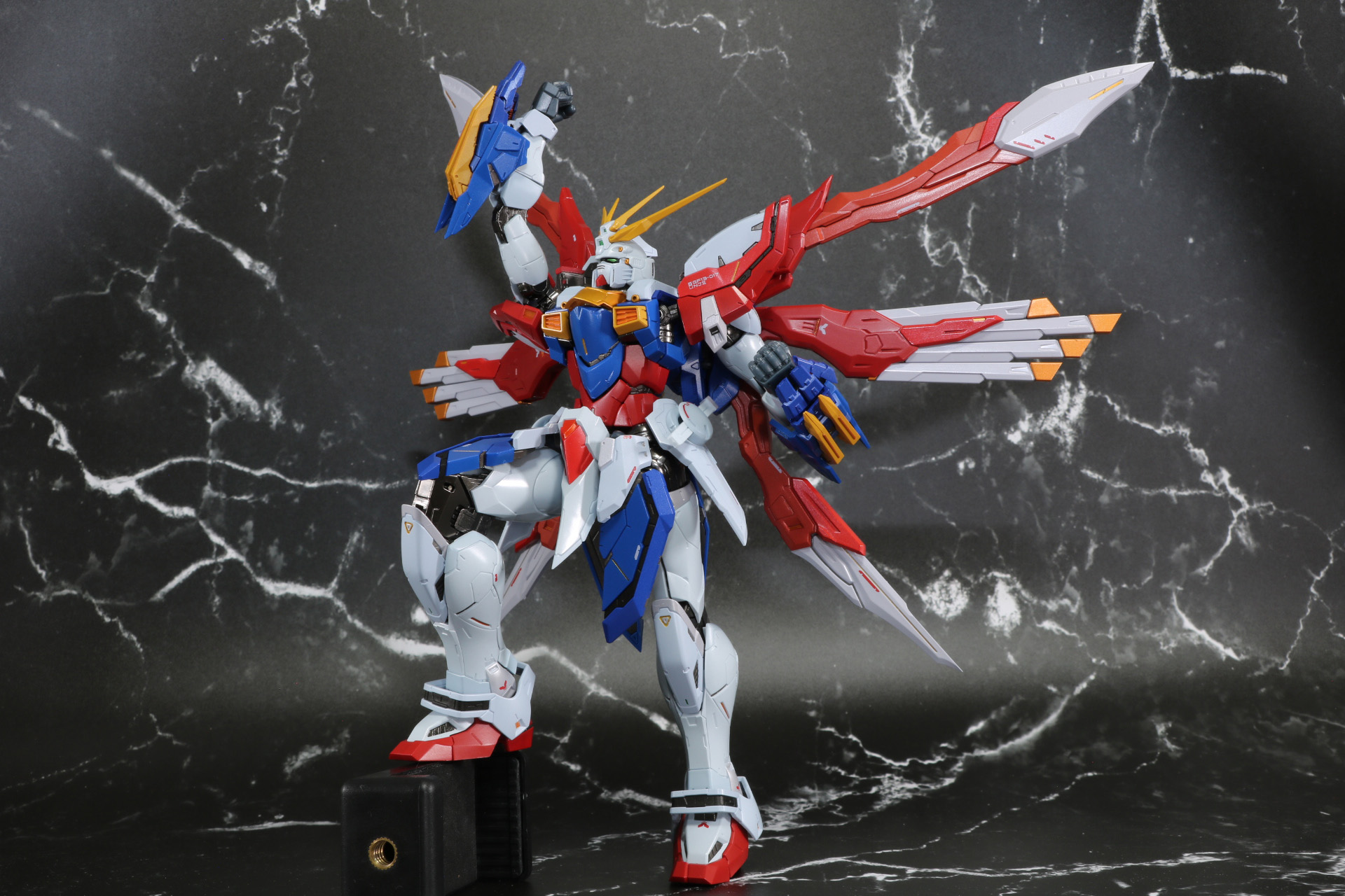 拳を掲げたポーズ