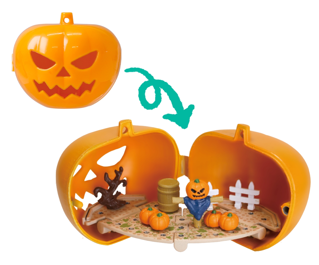 パンプキン/かぼちゃ畑