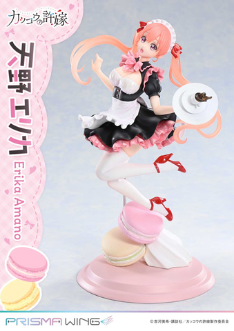 ★【未使用】カッコウの許嫁 A4キャラファイングラフ 天野エリカ ☆【未使用】カッコウの許嫁 A4キャラファイングラフ 天野エリカ