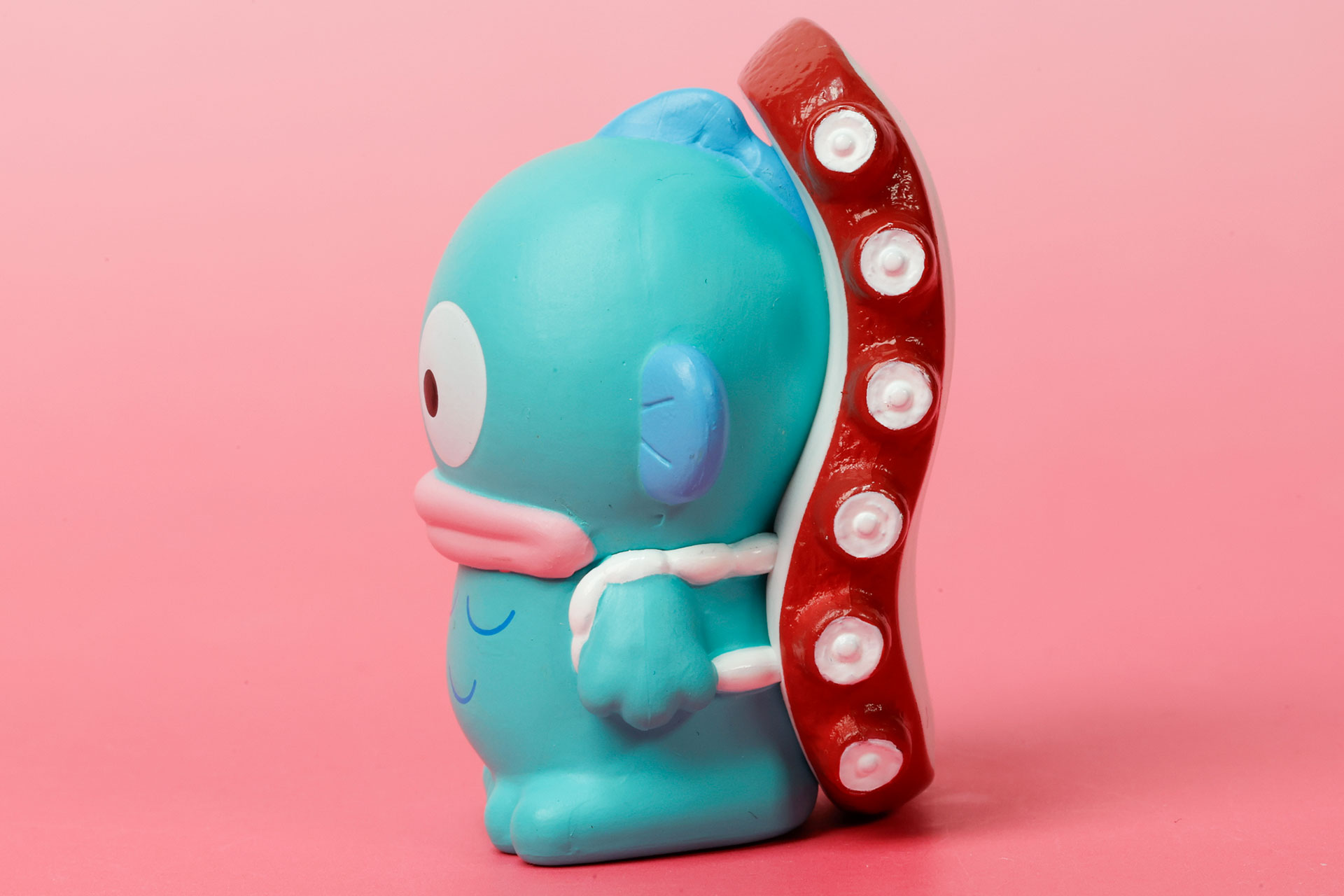 タコがぴったり張り付いている