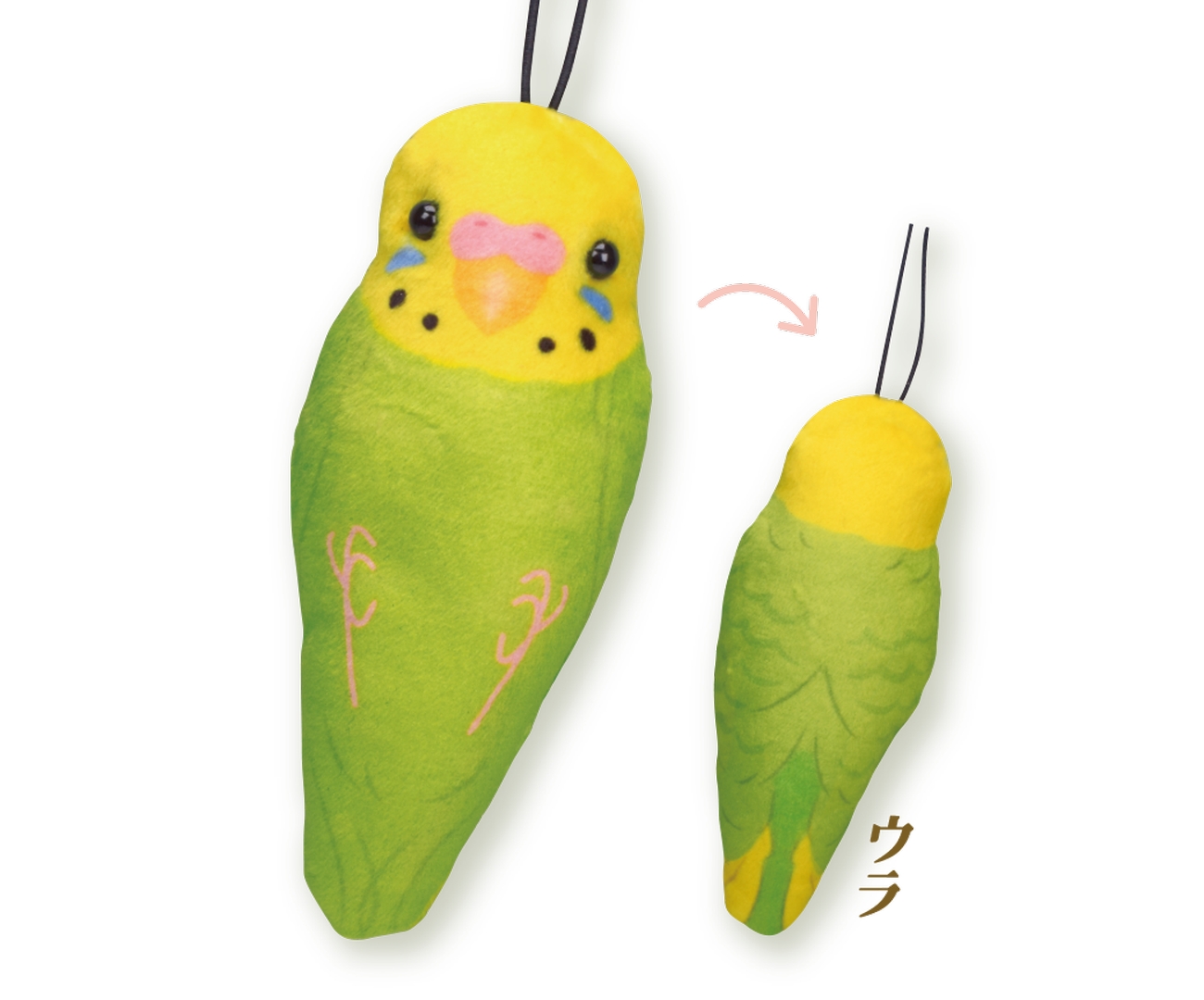 セキセイインコ（緑）