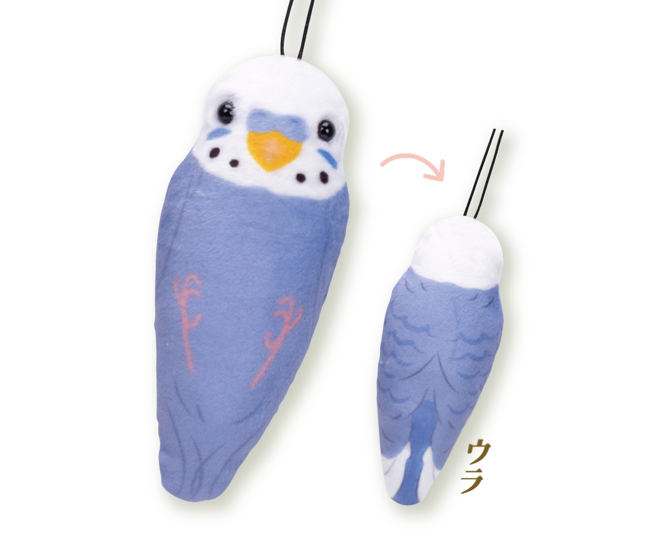 セキセイインコ（青）