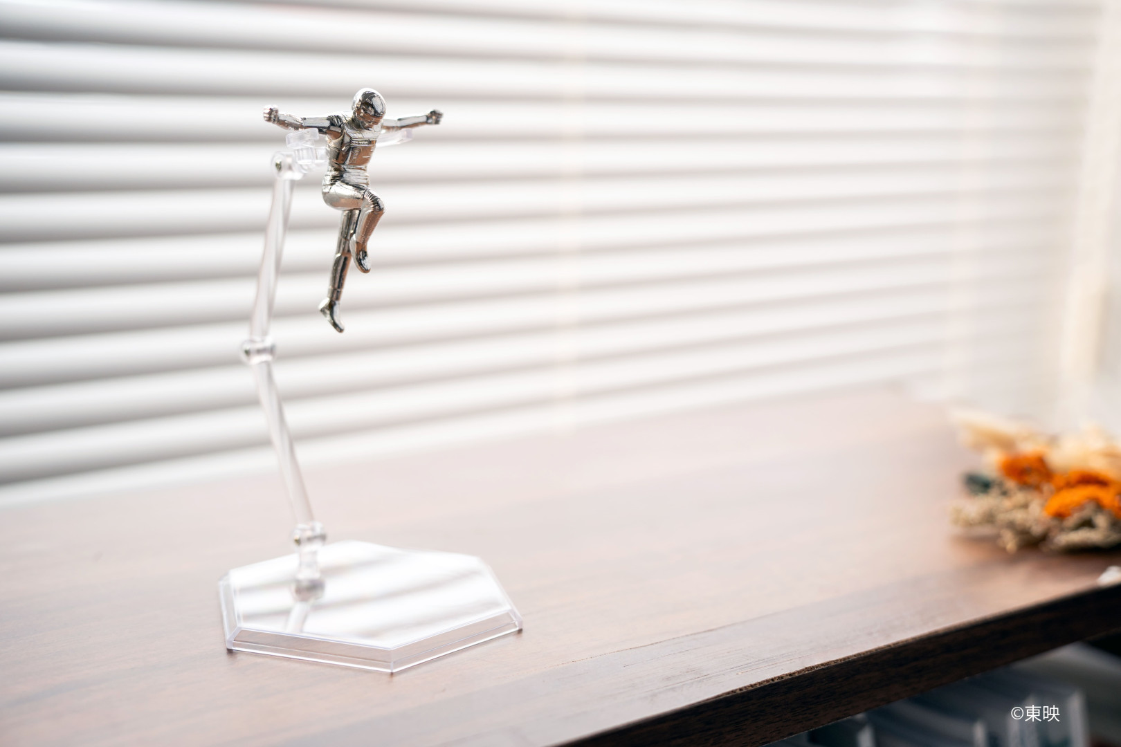 市販のフィギュアスタンドに対応