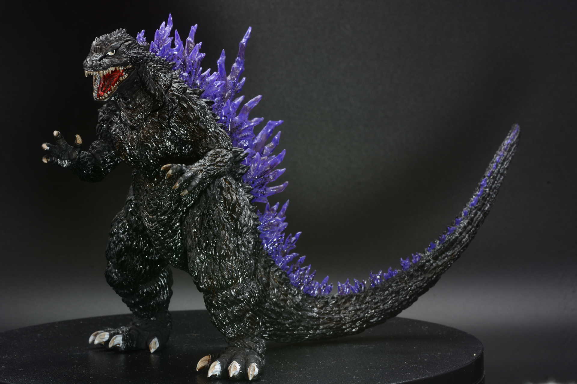 こちらをにらみつけ、カッと口を開ける迫力のある表情。黒い体に紫の背びれが独特のバランスを生み出している