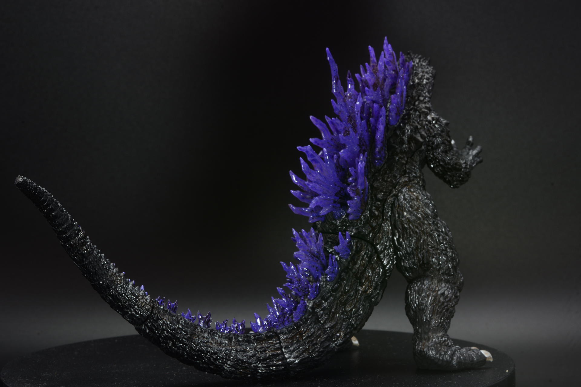 後ろ姿。背びれがすさまじい情報量だ