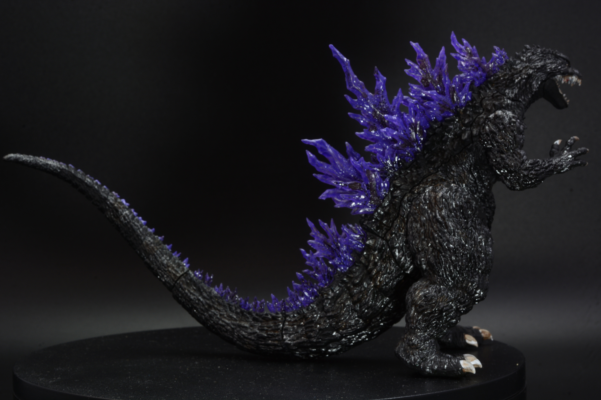 側面は炎のような背びれの形がしっかりわかる