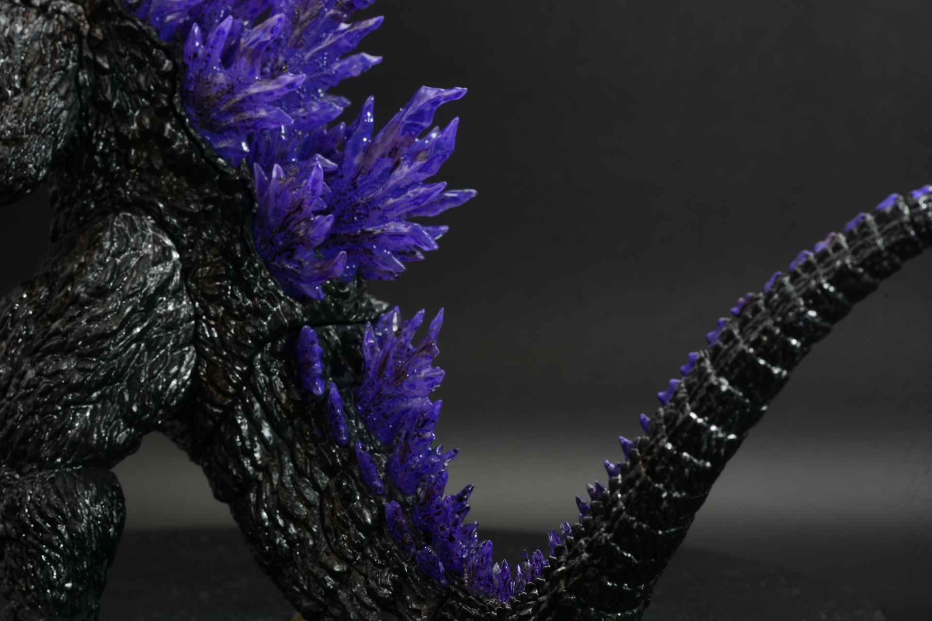 尻尾の先端に向かって背びれは小さくなっていく