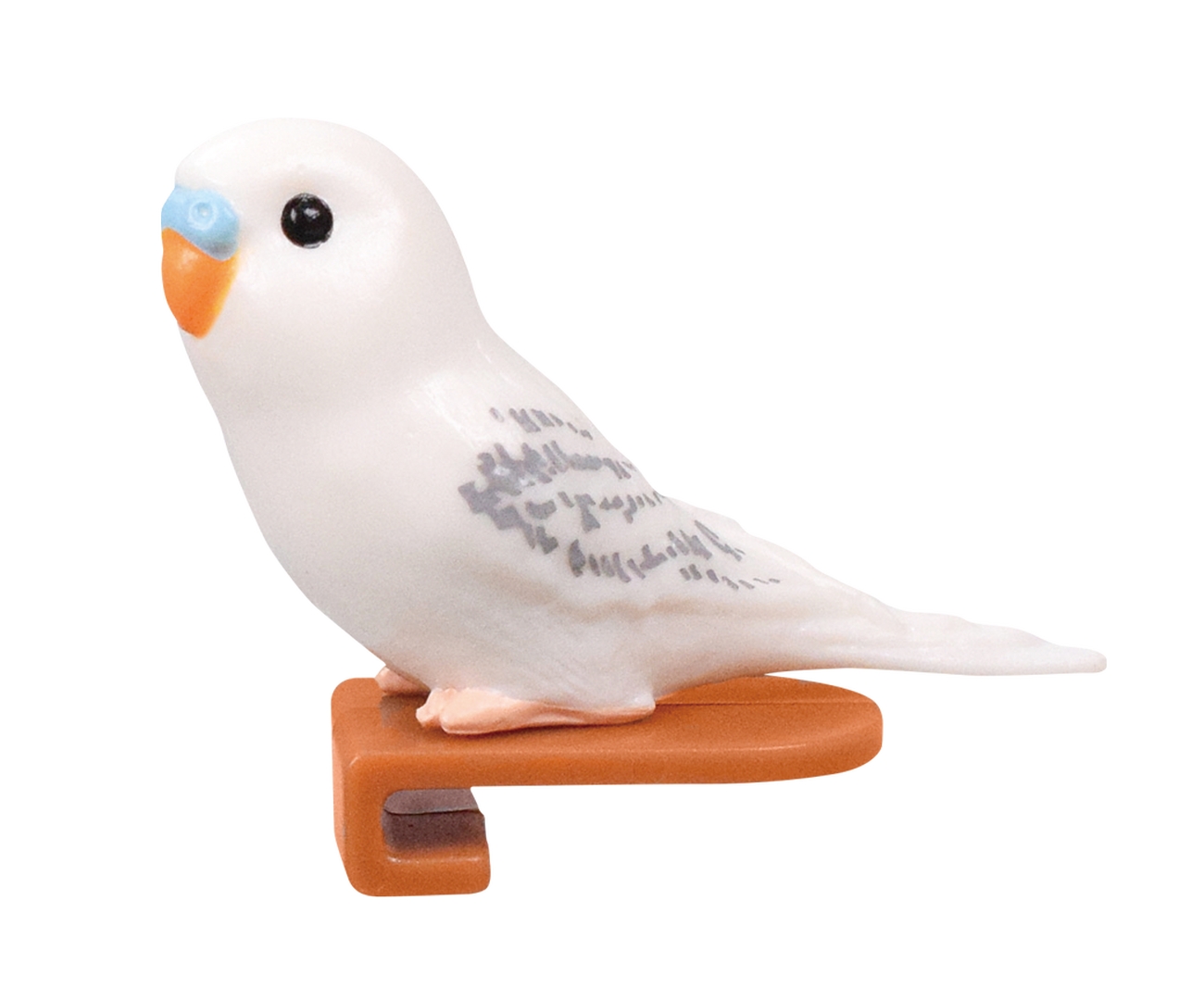 セキセイインコ（ホワイト）