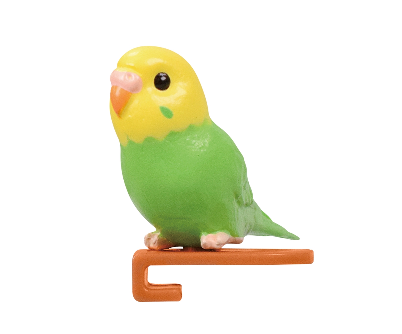 セキセイインコ（イエロー×グリーン）