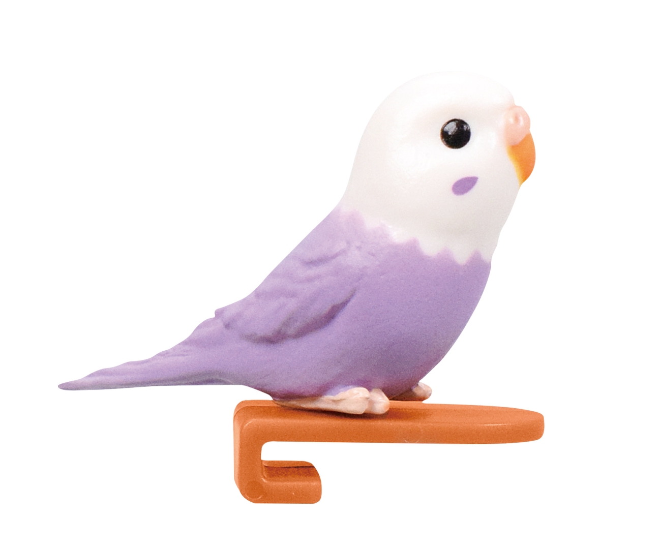 セキセイインコ（ホワイト×ライラック）