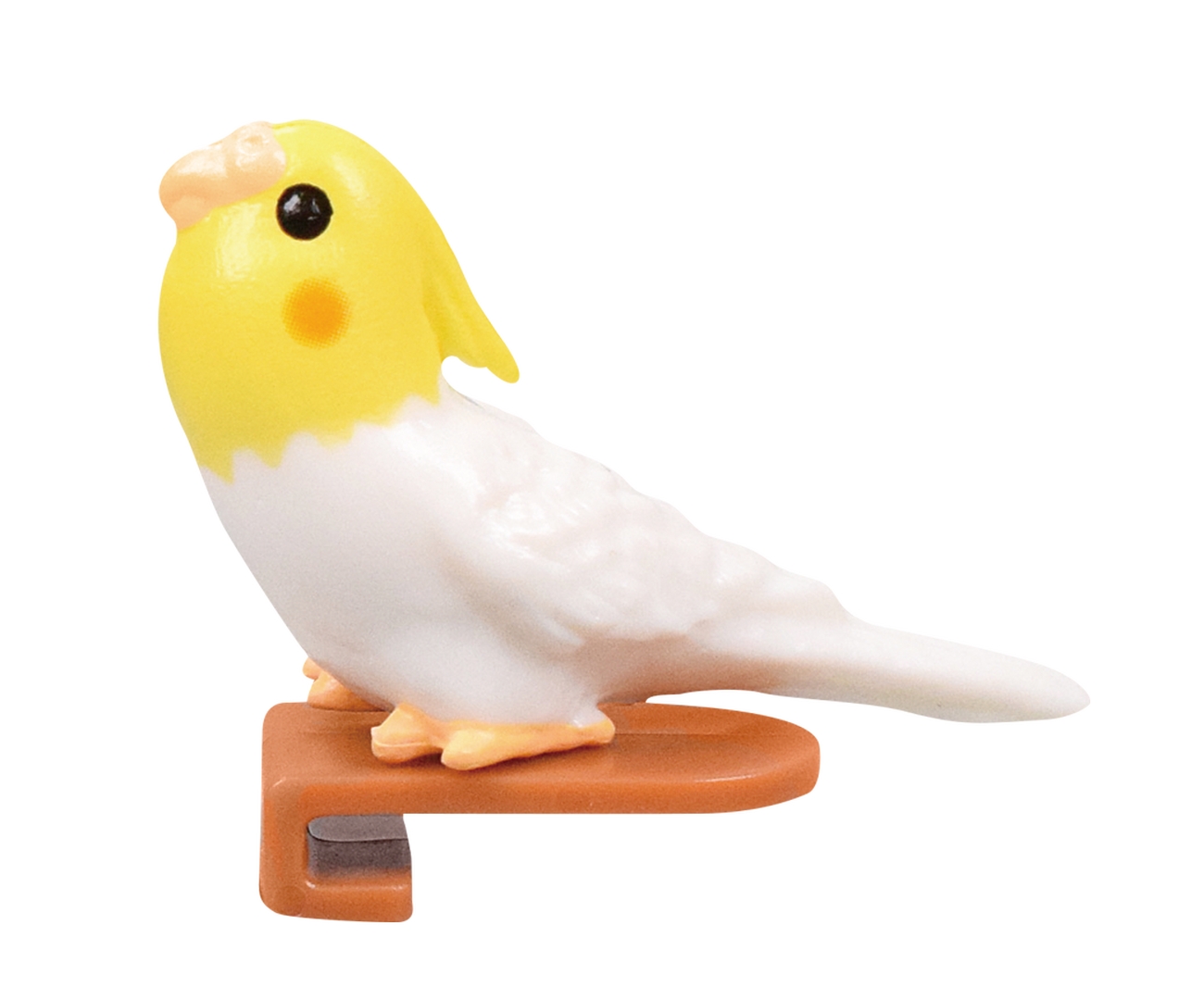 オカメインコ（イエロー×ホワイト）