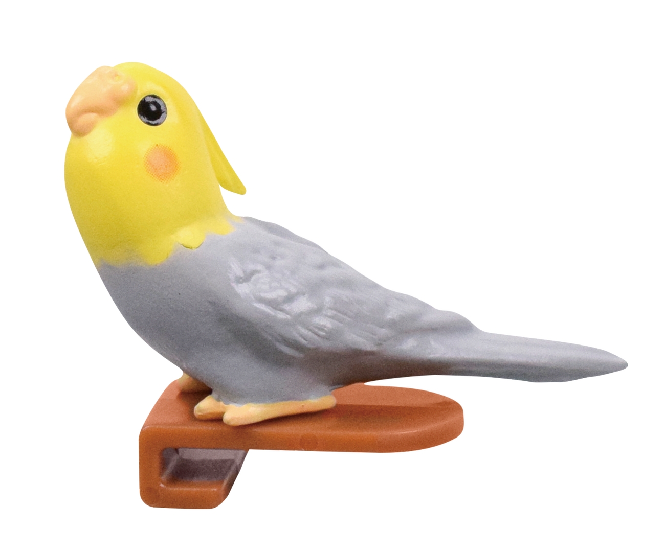 オカメインコ（イエロー×グレー）