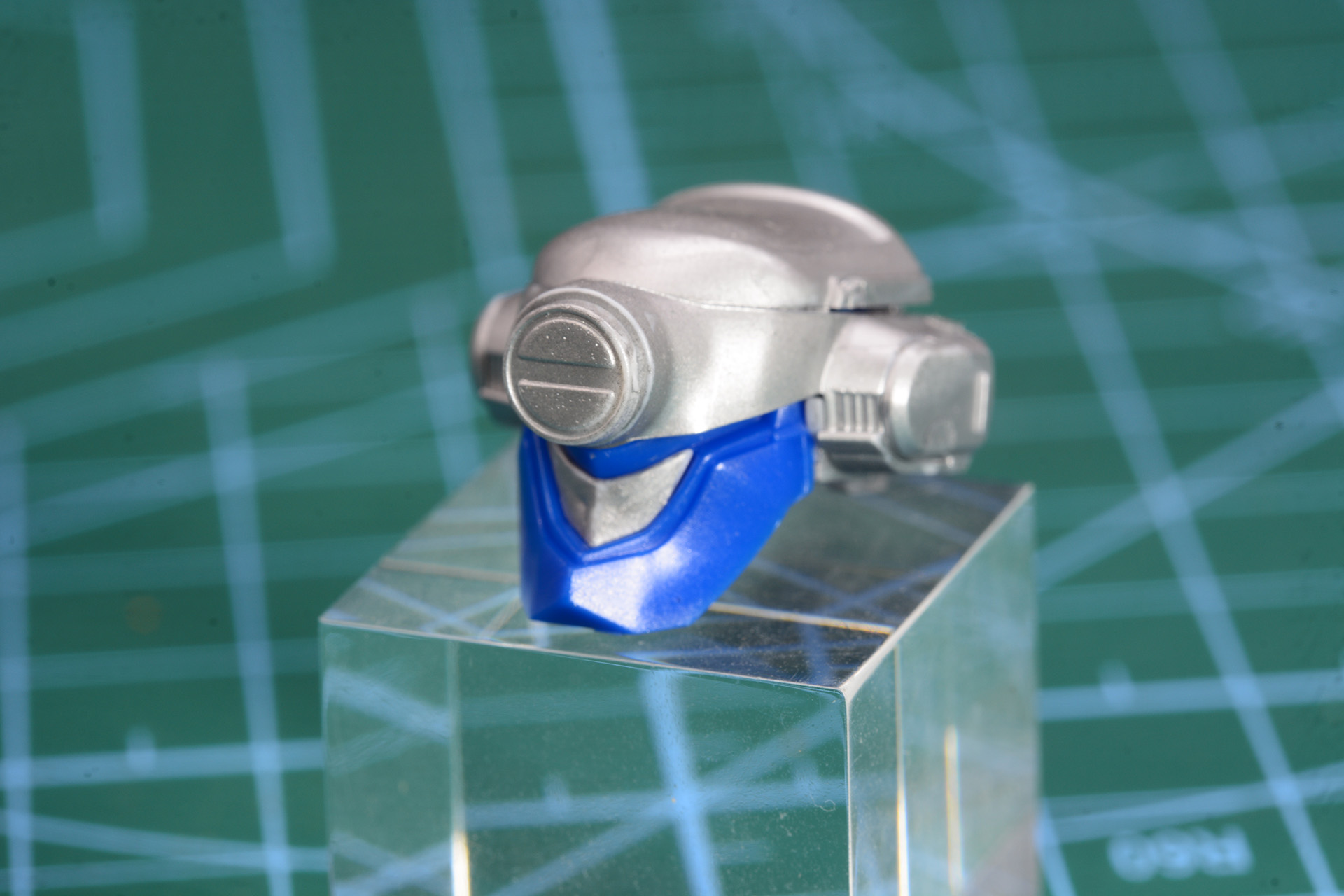 しっかり色分けされた頭部