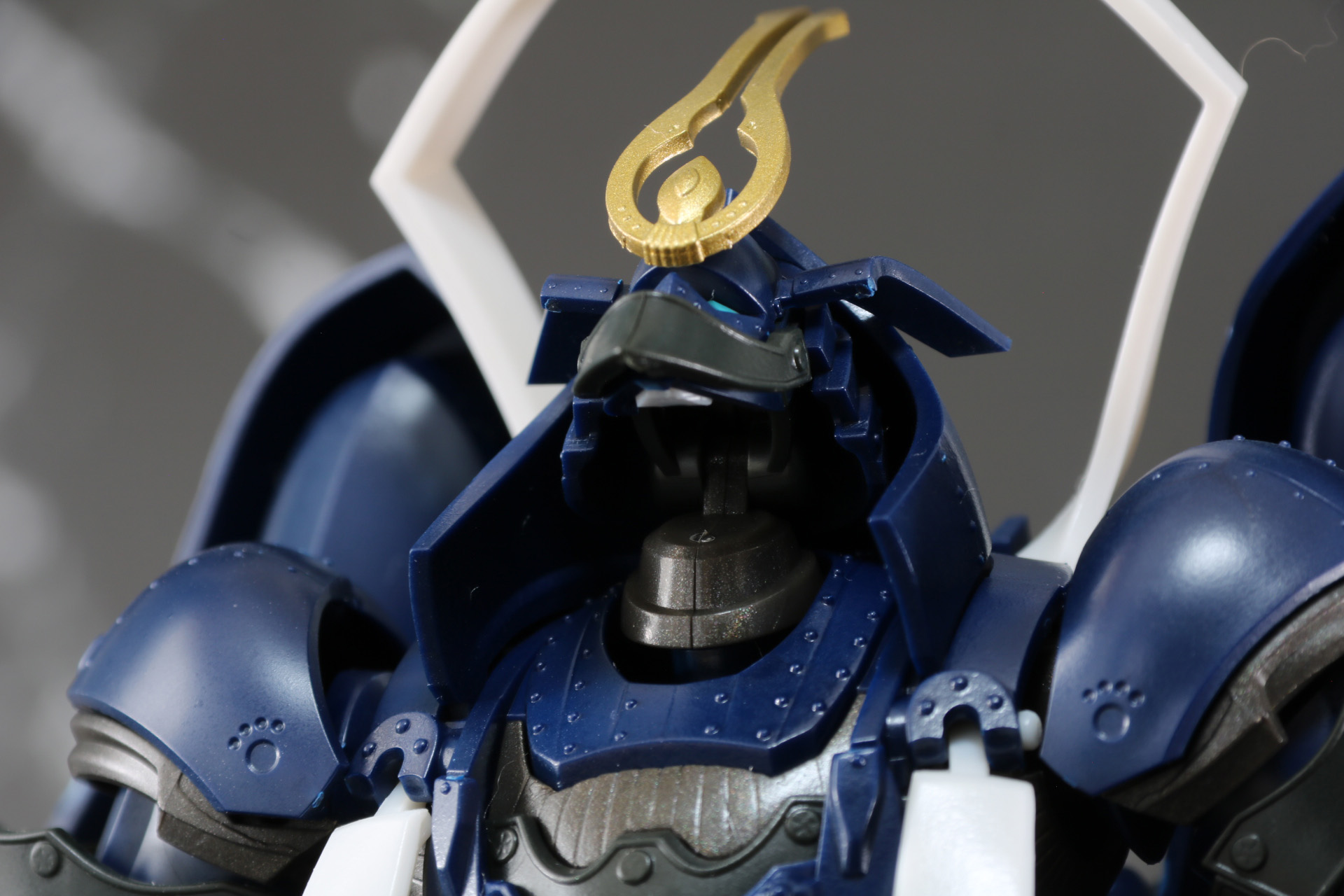 頭部は大きく顎を上げることができる