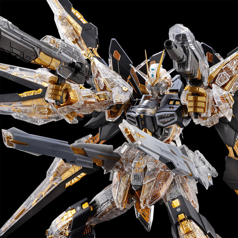 MG ストライクフリーダムガンダム クリアカラーver.ガンダムEXPO限定商品 MG 1/100 ストライクフリーダムガンダム クリアカラーバージョン
