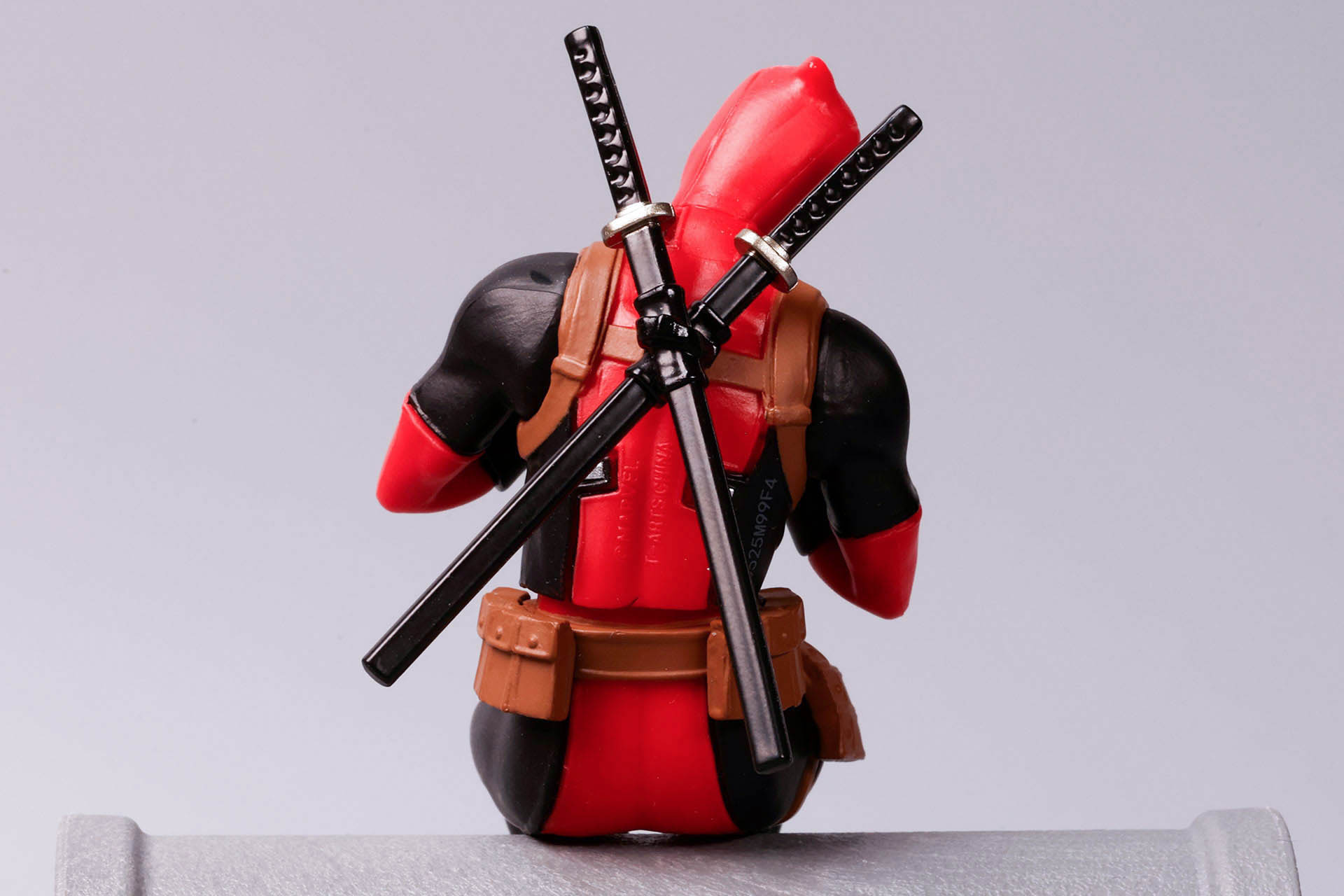 頭部から背中にかけての体のラインが自然に見える