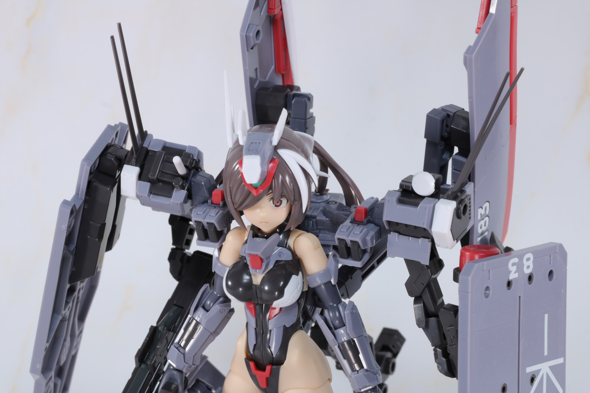 バックパックを基部にしてアームでシールドや装甲板を支える