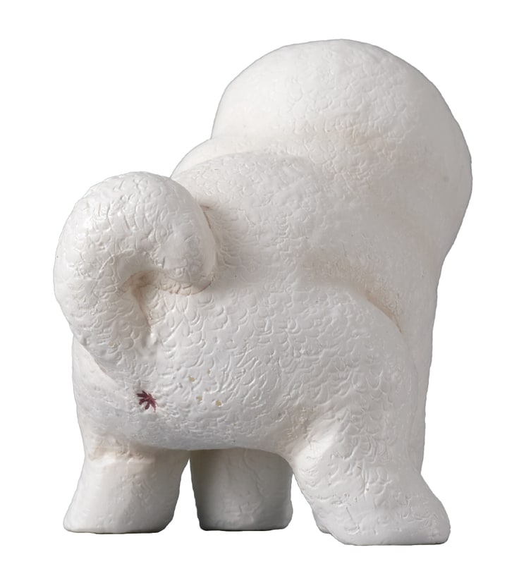 「ビションフリーゼ」背面