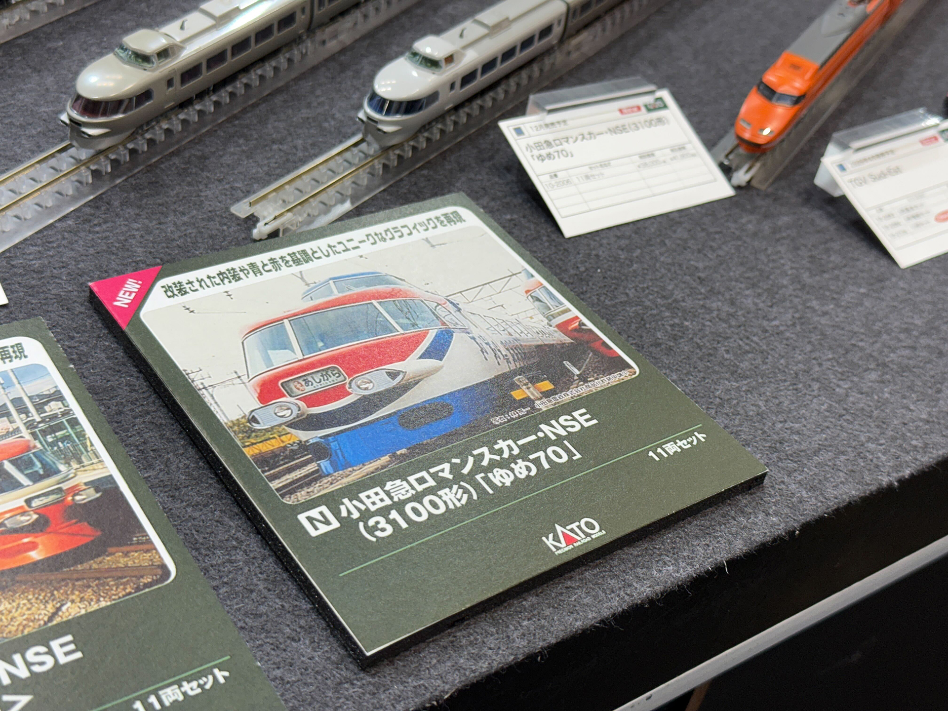 小田急ロマンスカー・NSE（3100形）「ゆめ70」