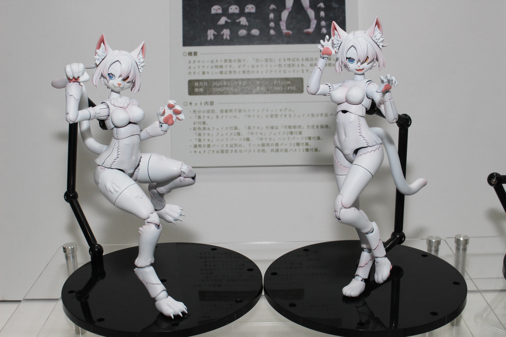 「けもプラ カオマニー」。2026年2月発売予定。価格は5,940円。タイ原産のネコがモチーフ。種の特徴であるオッドアイもアイプリントで表現