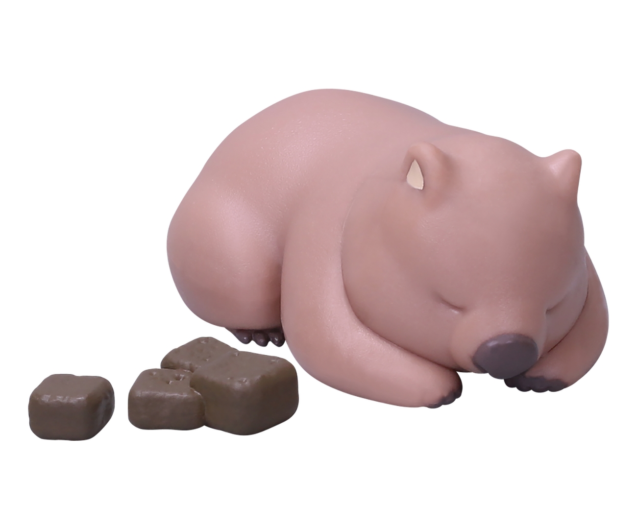 すやすやおひるね中