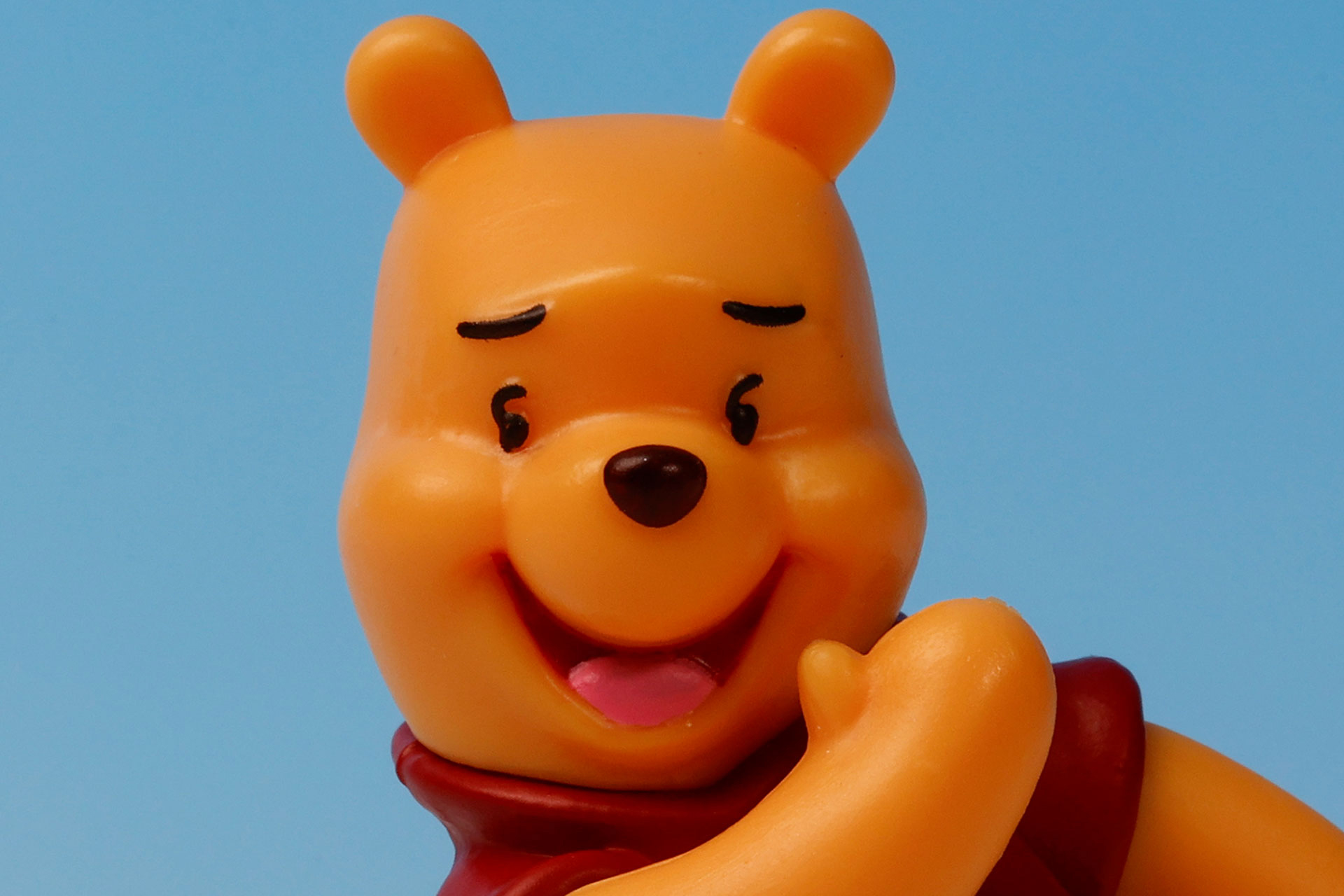 目の形など絶妙な表情をしている