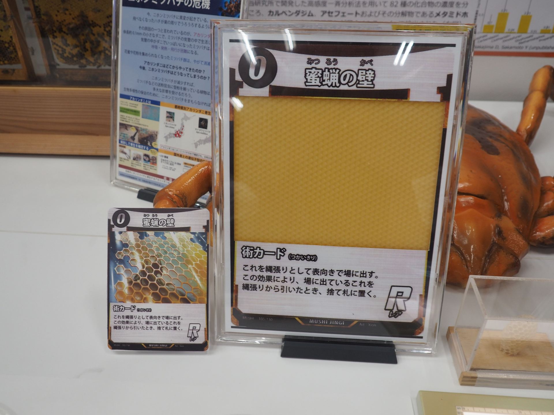 「蜜蝋の壁」の実物カードと実際のイメージ