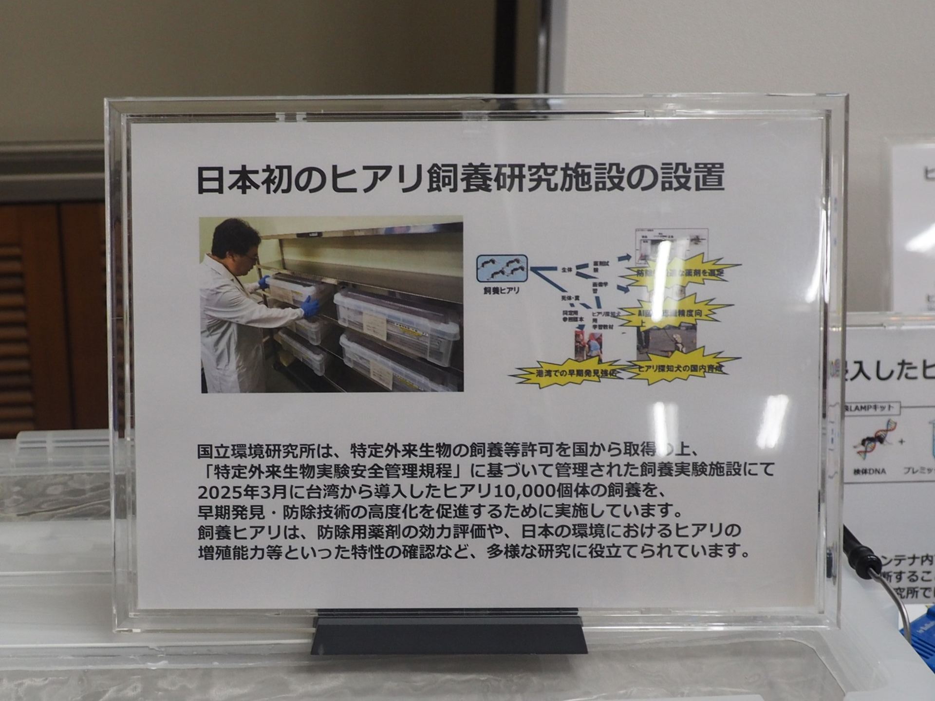 国立環境研究所には、日本初のヒアリ飼養研究施設が設置されている
