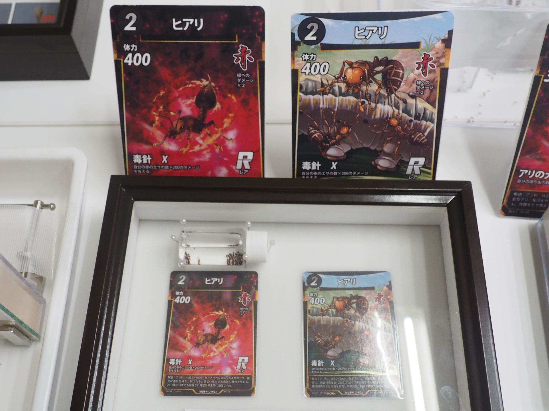 ヒアリの通常カード（左）と今回配布されるプロモカード。絵は異なるが効果などは同じだ
