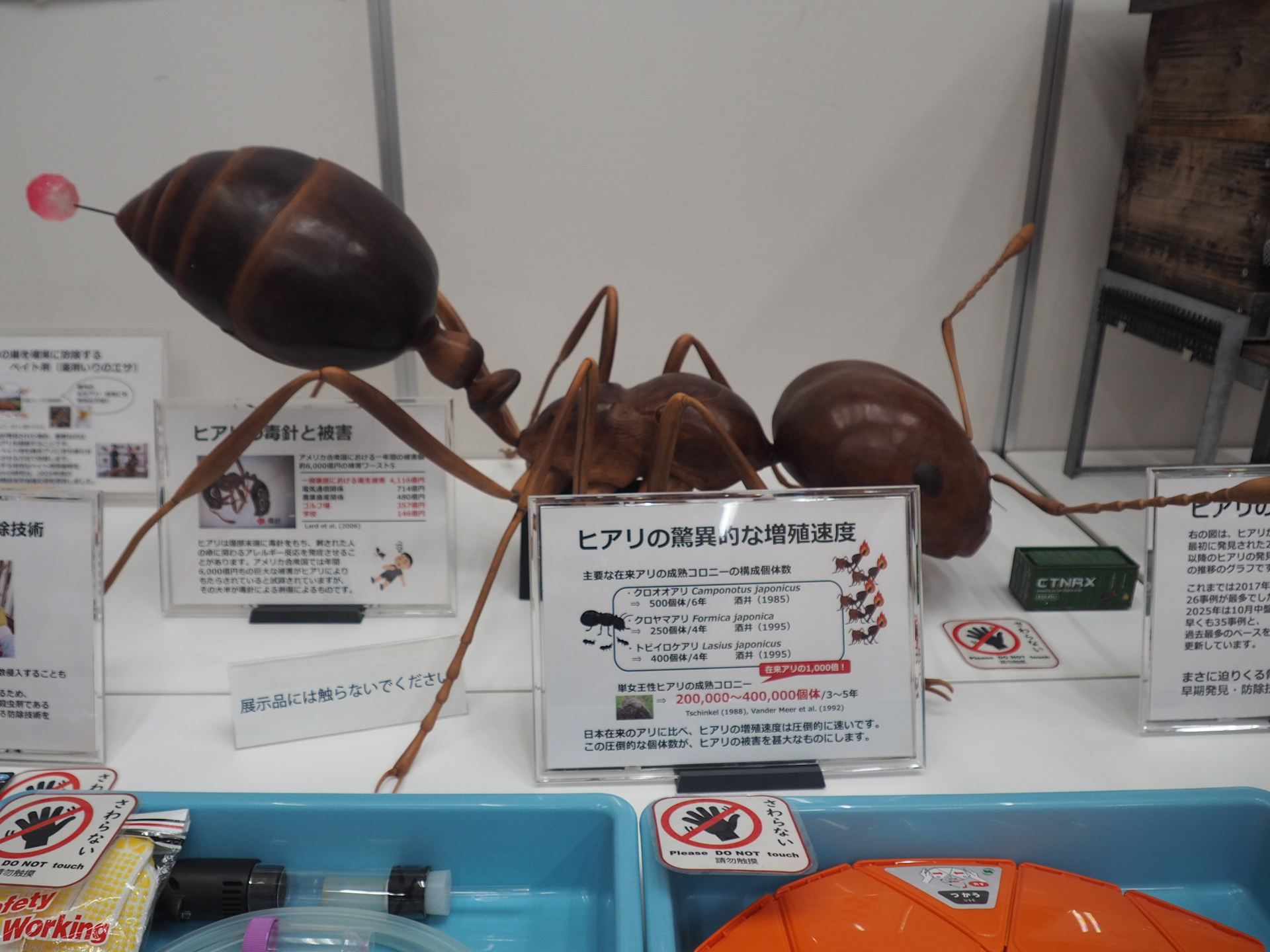 ヒアリの大きな模型