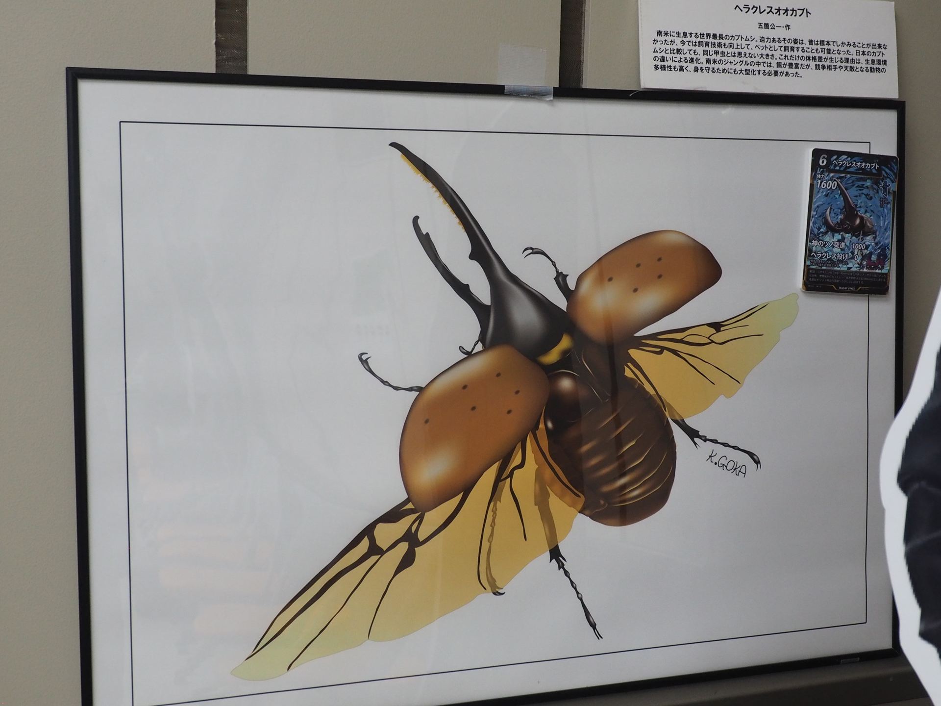 ヘラクレスオオカブトの精緻なイラスト