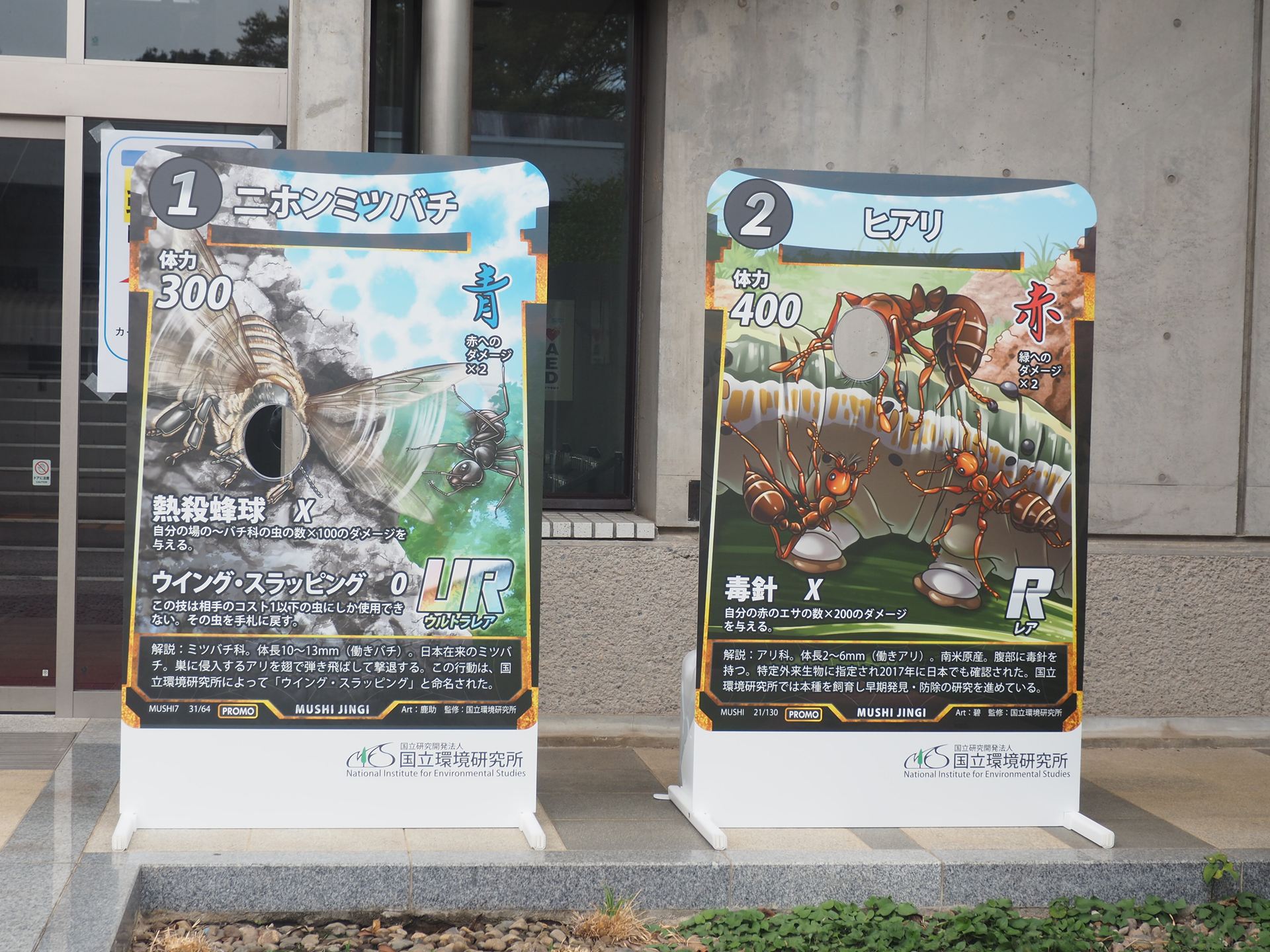 「ニホンミツバチ」と「ヒアリ」の顔ハメパネル