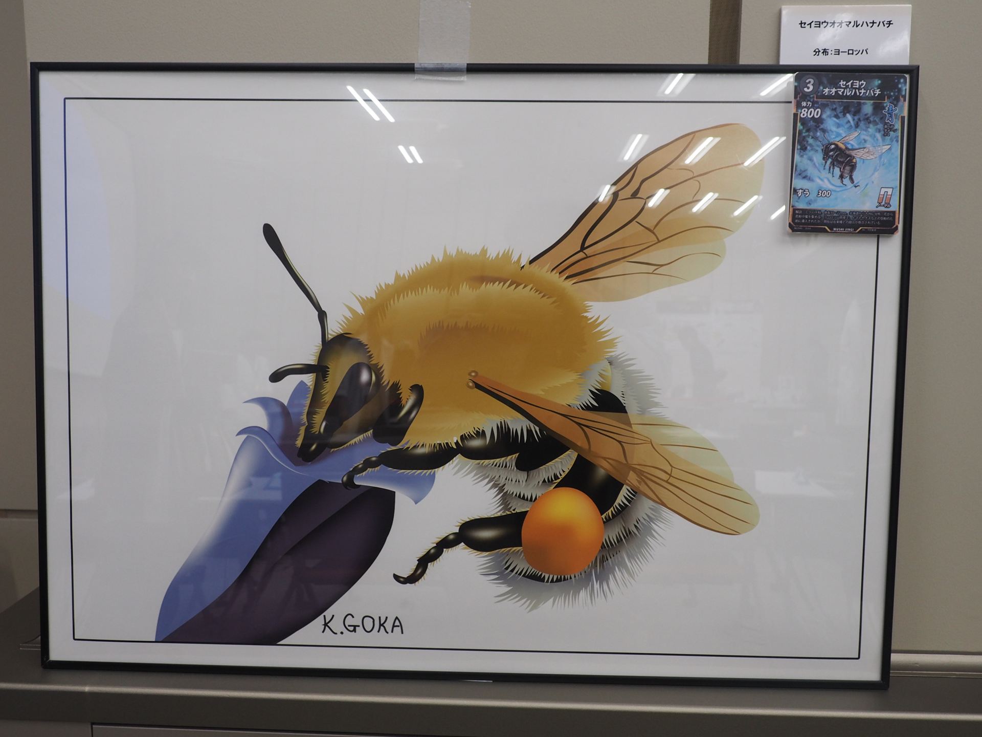 セイヨウオオマルハナバチの精緻なイラスト