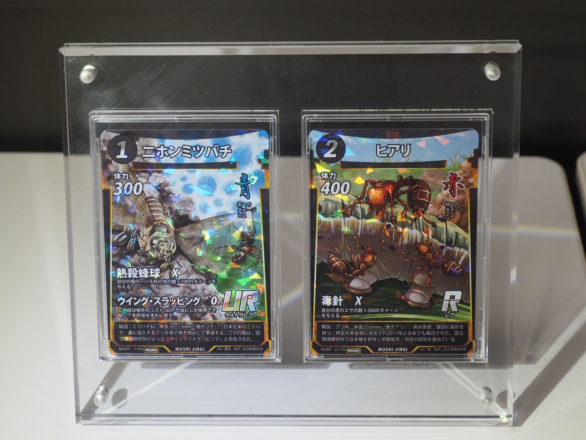 今回のイベントで配布された2種類のプロモカード