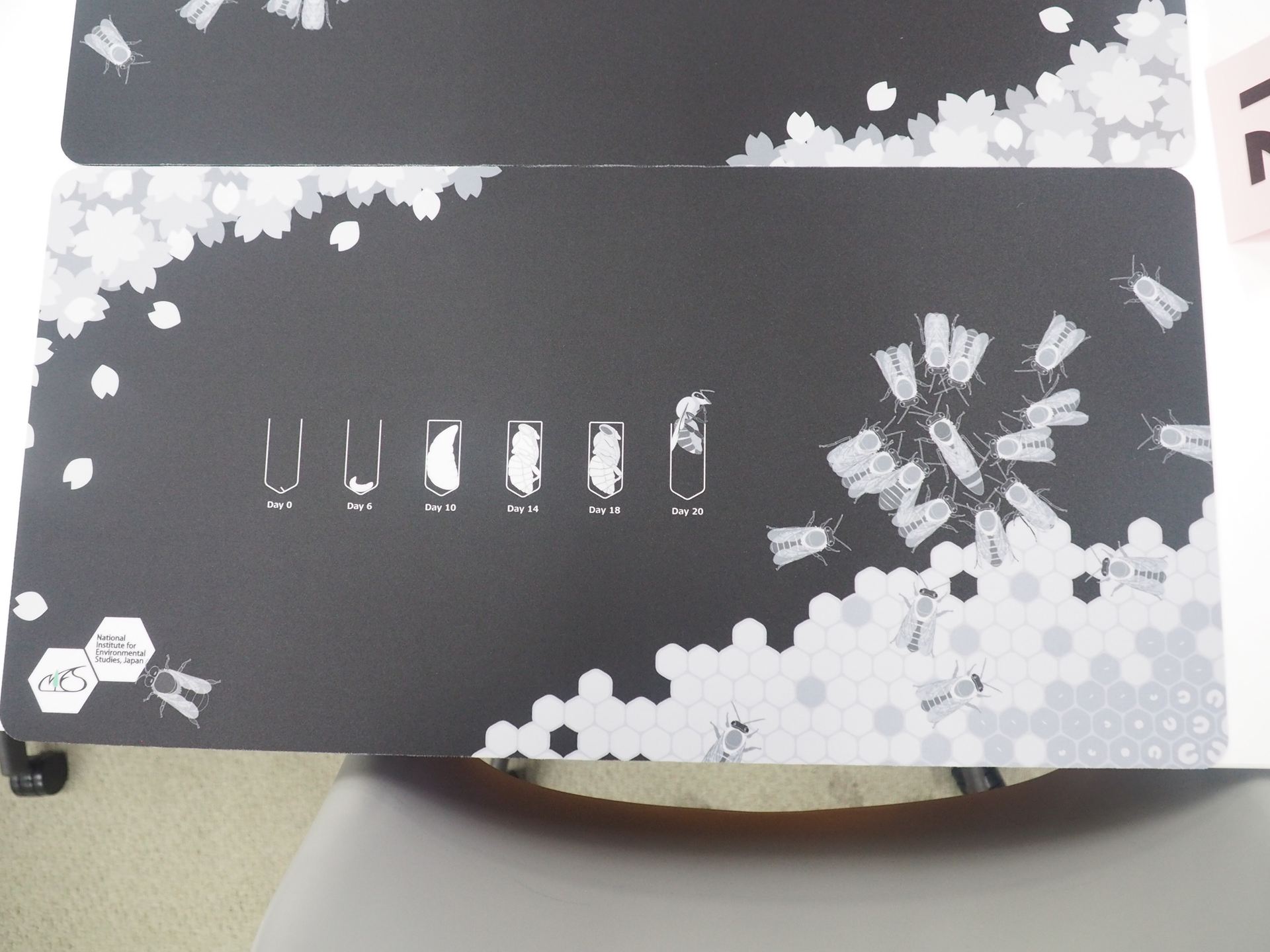 今回のイベントのために作られた特製プレイマット。ミツバチとその生態をモチーフに、縄張りやエサ場、山札、捨て札、場をイメージしたお洒落で使いやすいプレイマットになっており、欲しいという人が続出した