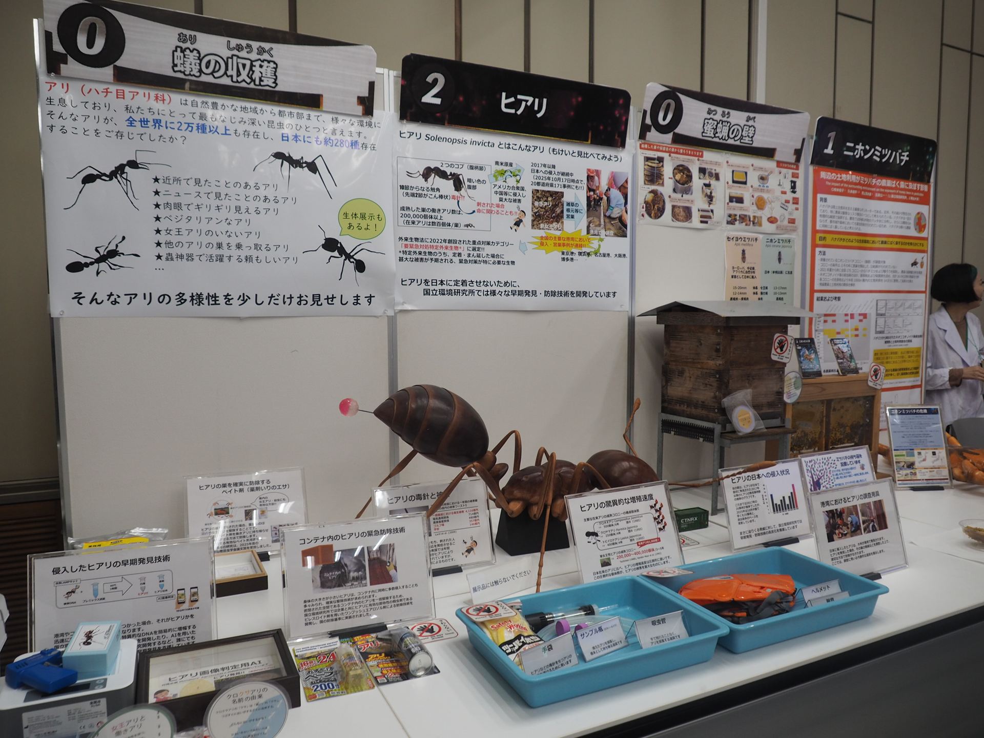 蟲神器に登場する4枚のカードに関連する展示が行なわれていた