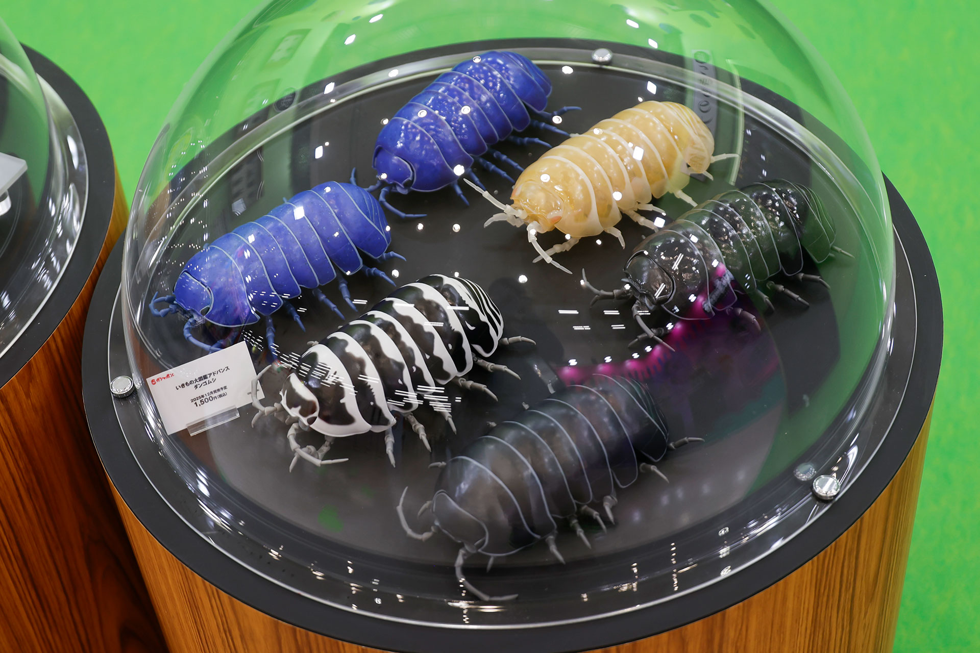 12月発売予定の「生き物大図鑑アドバンス ダンゴムシ」価格は1,500円