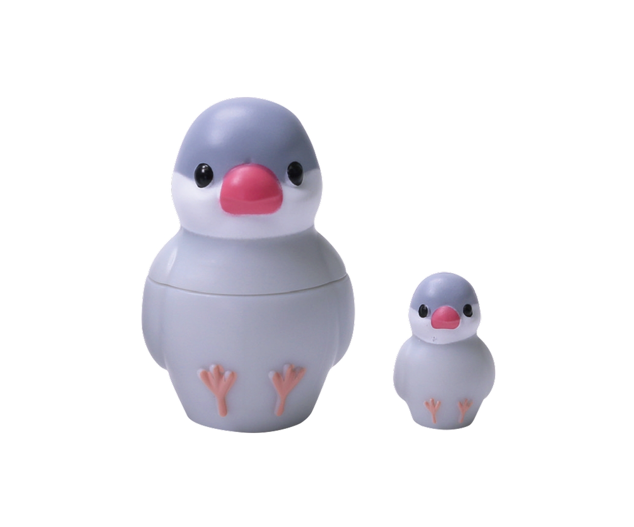 シルバー文鳥（中＆小）