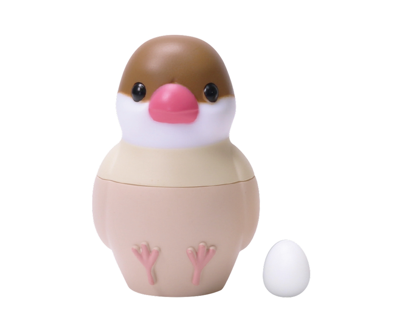 シナモン文鳥（大）＆たまご