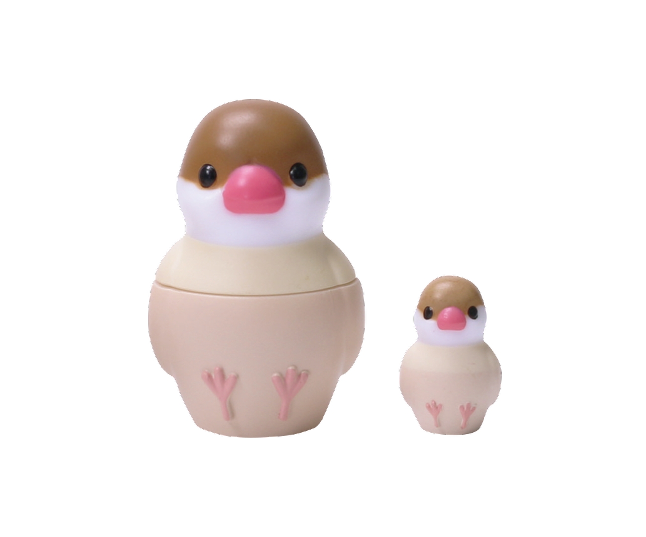 シナモン文鳥（中＆小）