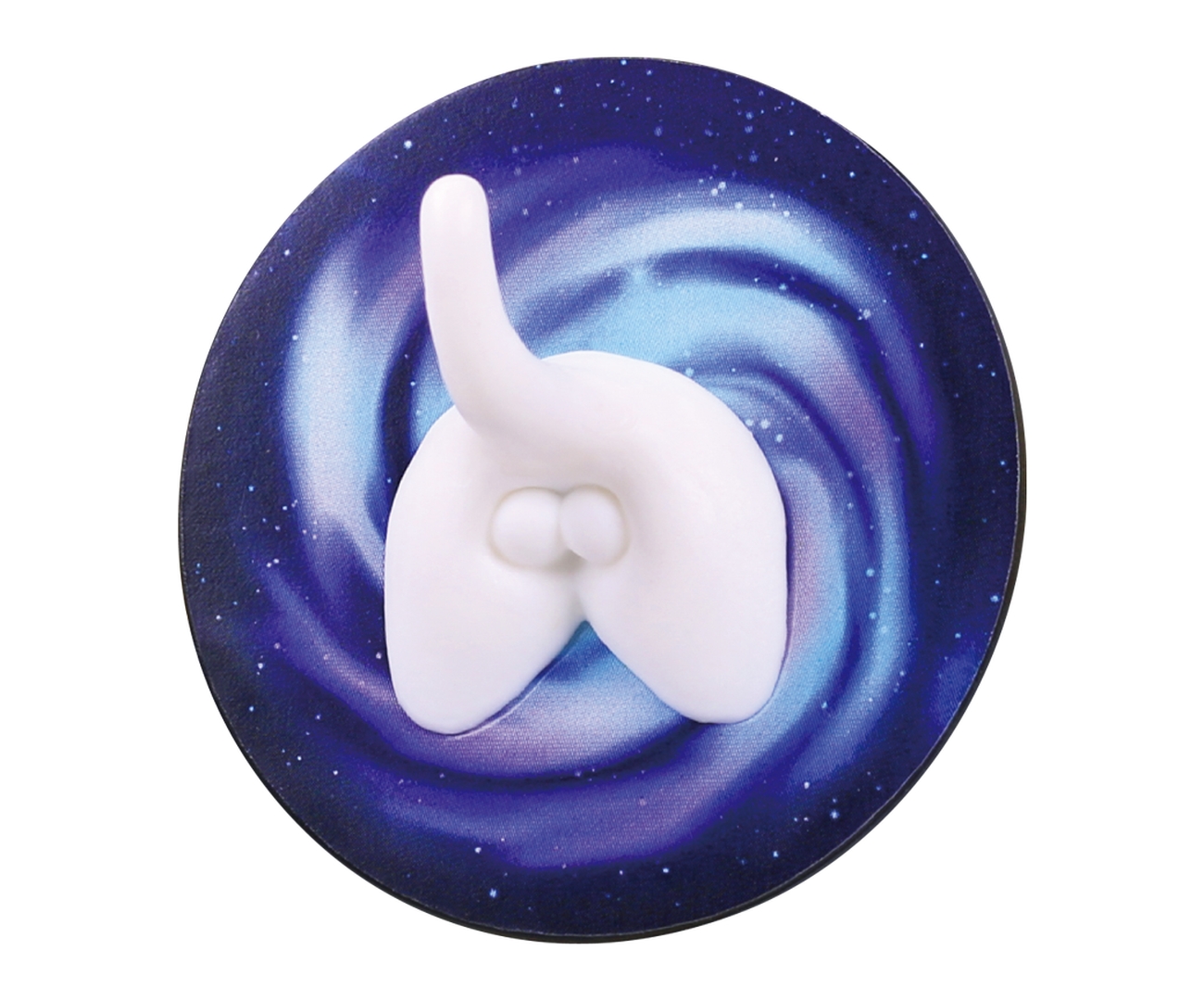 白猫（おしり）