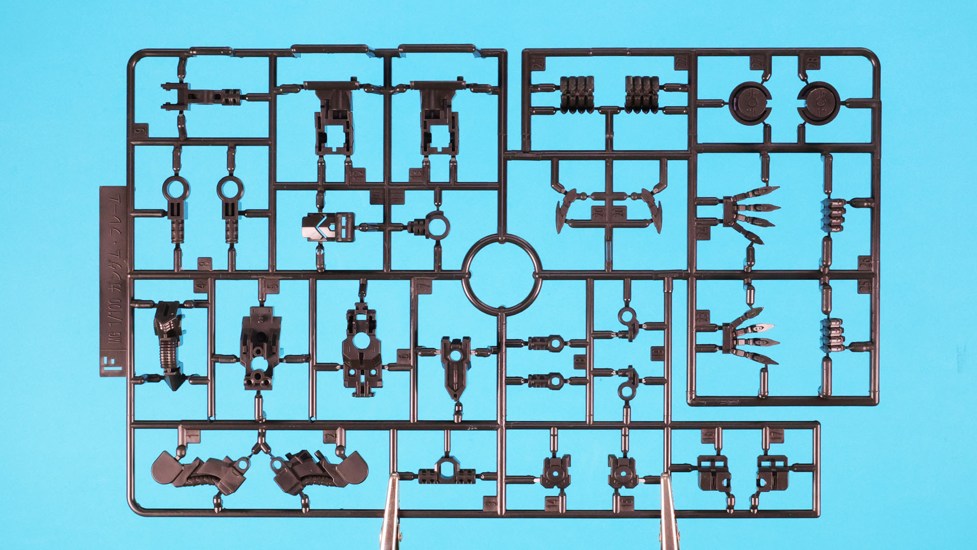 F:ガンダム・フレーム