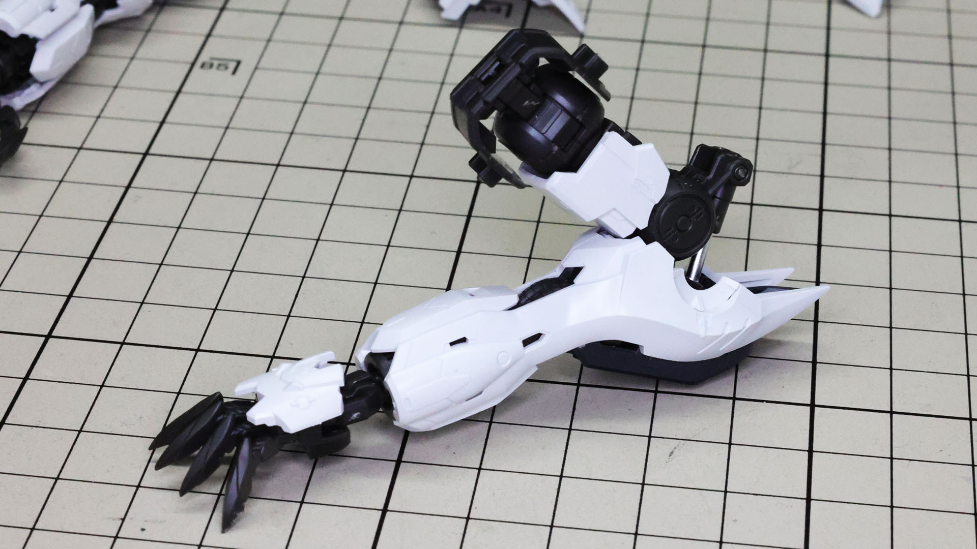 長い前腕がそれだけでもかっこいいです！